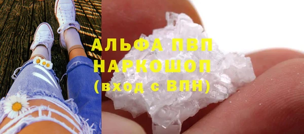 mdpv Бородино