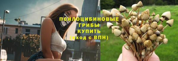 метамфетамин Богданович
