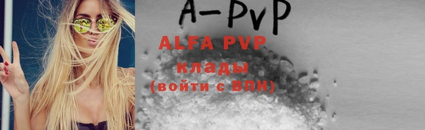 mdpv Бородино