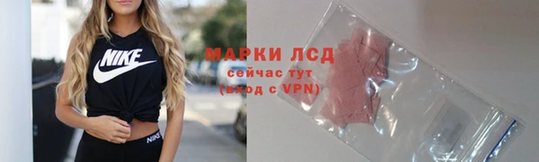 шишки Верхний Тагил