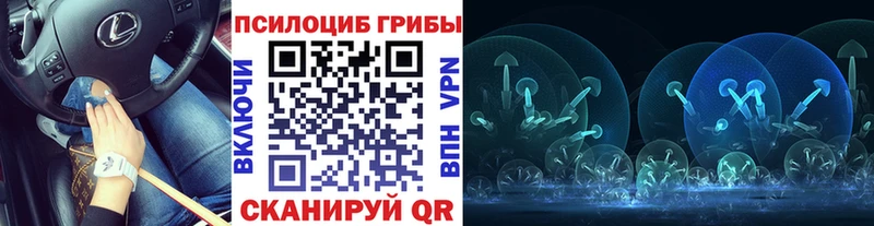 Галлюциногенные грибы MAGIC MUSHROOMS  цены наркотик  Ветлуга 